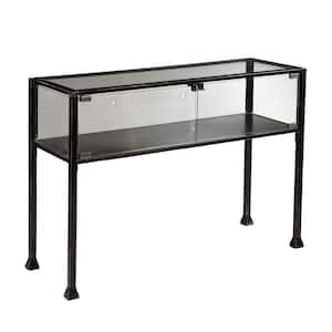 43 in. Black Standard Rectangle Glass Console Table with Storage