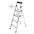 5.5 ft. Aluminum Dual Platform Ladder (10 ft. Reach), 250 lb. Load Capacity Type I Duty Rating