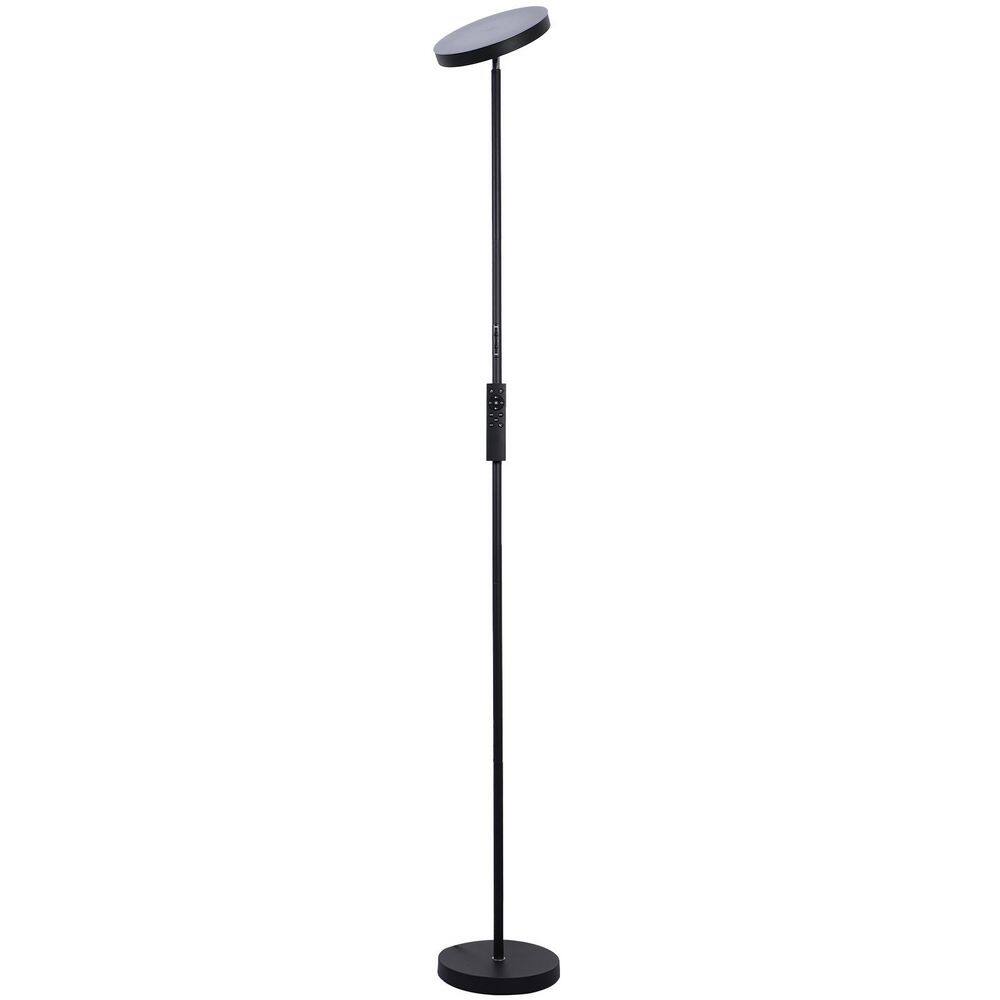 66.5 in. Black Dimmable and Color Temperature Adjustable LED Torchiere Floor Lamp Double Side Lighting price history on PriceWatchPro