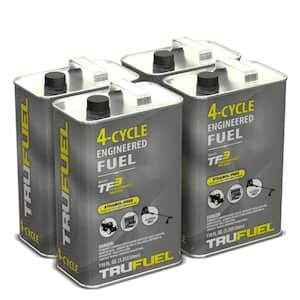 4-Cycle Ethanol-Free Fuel (4-Pack)