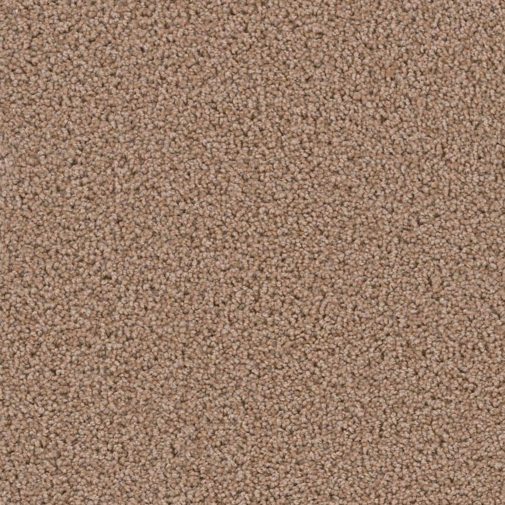 8 in. x  8 in. Texture Carpet Sample - Happy Chance -Color Winner price history on PriceWatchPro