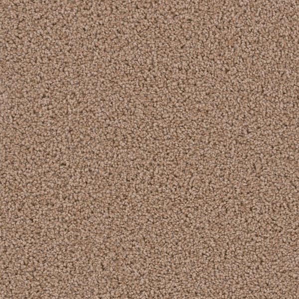 TrafficMaster Happy Chance  - Winner - Beige 30 oz. SD Polyester Texture Installed Carpet