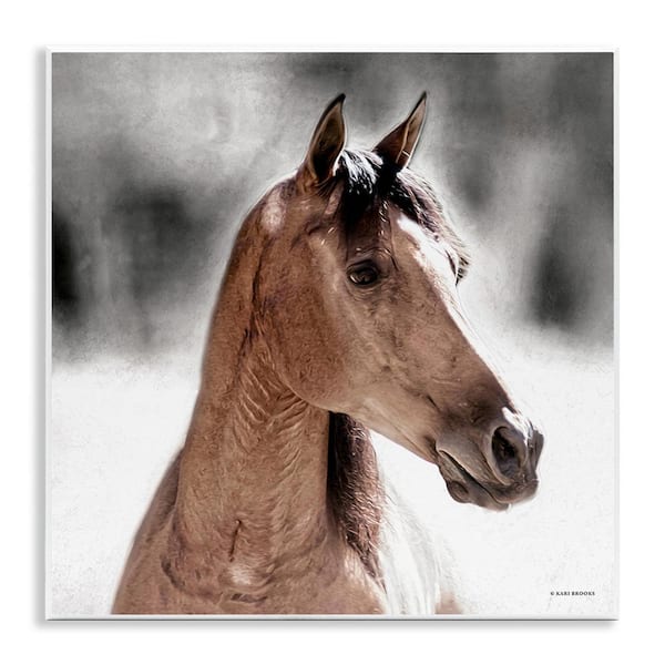Stupell Industries Brown Foal in Snow by Kari Brooks 1-Piece Unframed Graphic Print Animal Poster Art Print 12 in. x 12 in.