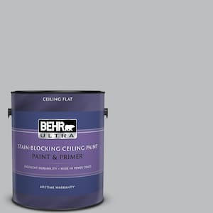1 gal. #N530-3 High Speed Access Ceiling Flat Interior Paint and Primer
