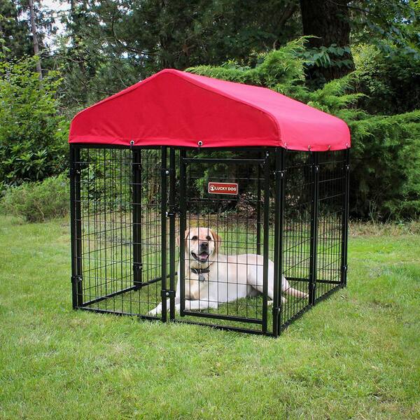 outdoor dog cover