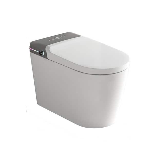 12 in. 1-Piece 1.32 GPF Single Flush Smart Toilet in White Ceramic with Oval Bidet Seat, Auto Heated, Warm Water, Dry