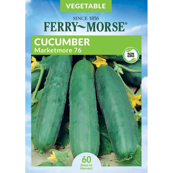 Ferry-Morse Cucumber Marketmore 76 Fruit Seed