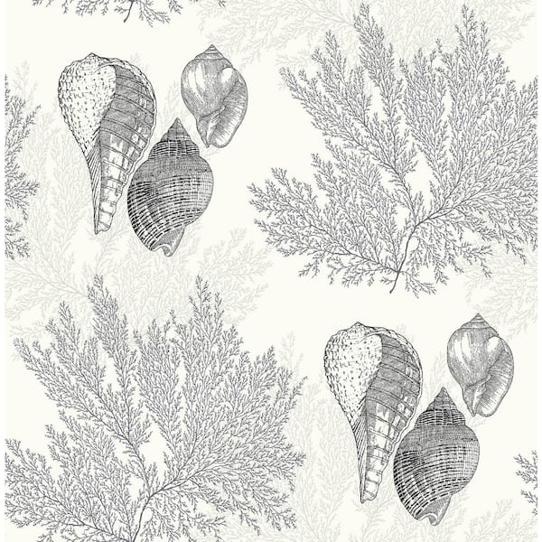 A-Street Prints Nauset Black Seashell Shores Wallpaper Sample