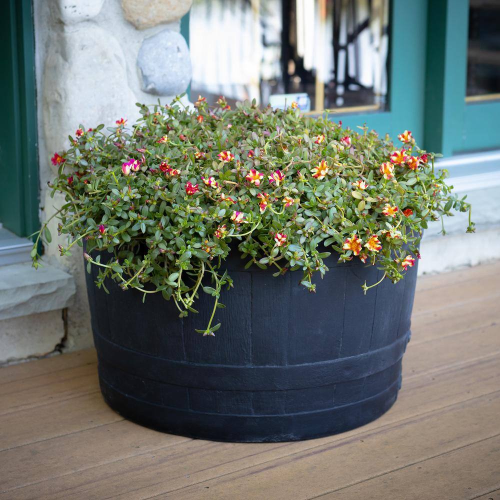 Black Polyethylene Whiskey Barrel Planter for Indoor/Outdoor Use