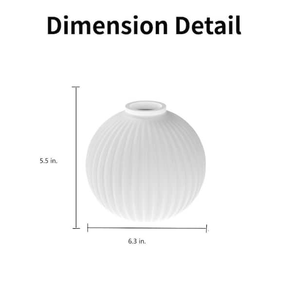 5.5 in White Frosted Glass Striped Globe Globle Shade with 1in. Lip Fitter 3-Pack