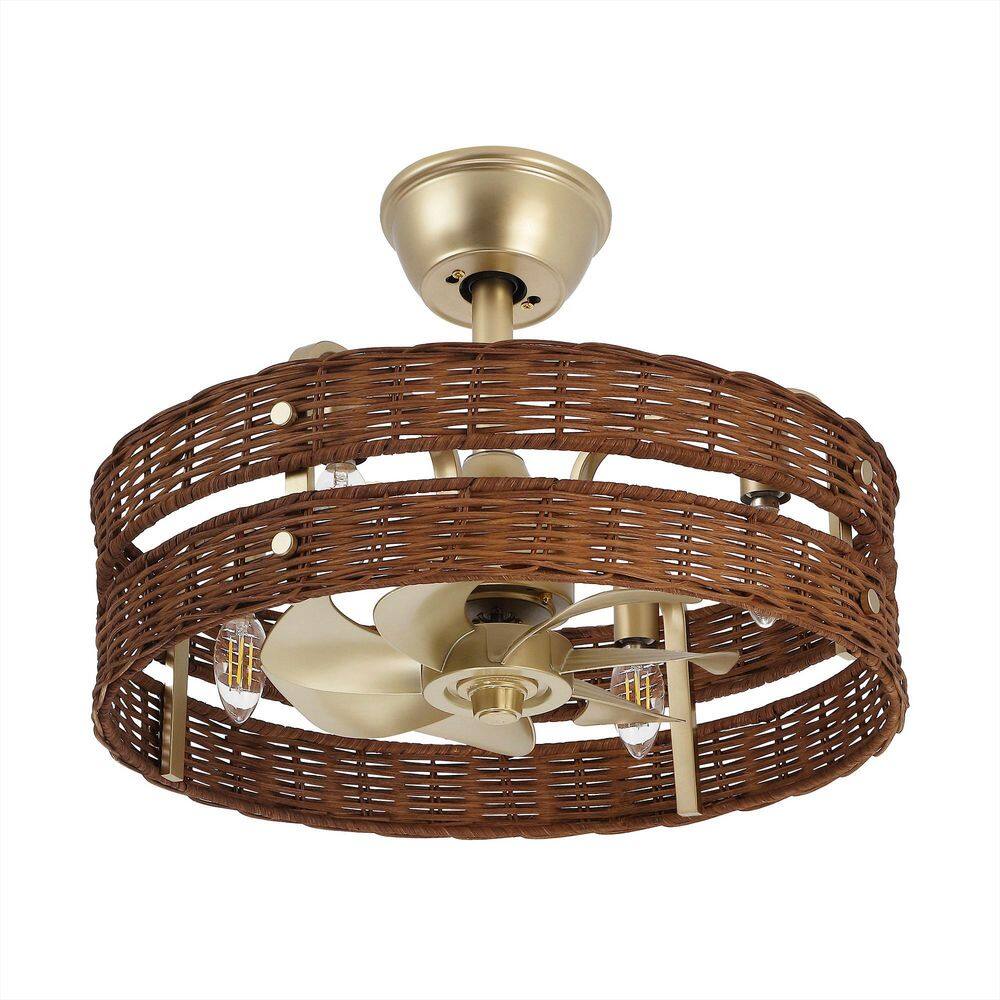 18.5 in. Indoor Walnut Rattan Caged Ceiling Fan with Light kit and Remote Control price history on PriceWatchPro