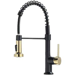 Viki Single Handle Pull Down Sprayer Kitchen Faucet with Spot Resistant, Advanced Spray in Black