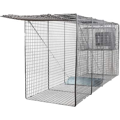 Northern Raccoon Live Trap 12x12x36