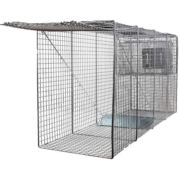 LifeSupplyUSA X-Large One Door Catch Release Heavy Duty Cage Live Animal Trap for Large Dogs, Foxes, Coyotes and Other Similar Sized Animals, 58x26