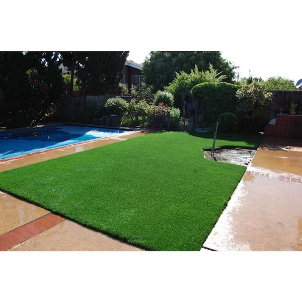 Classic Premium 65 Spring 7.5 ft. W x Cut to Length Green Artificial Grass Turf