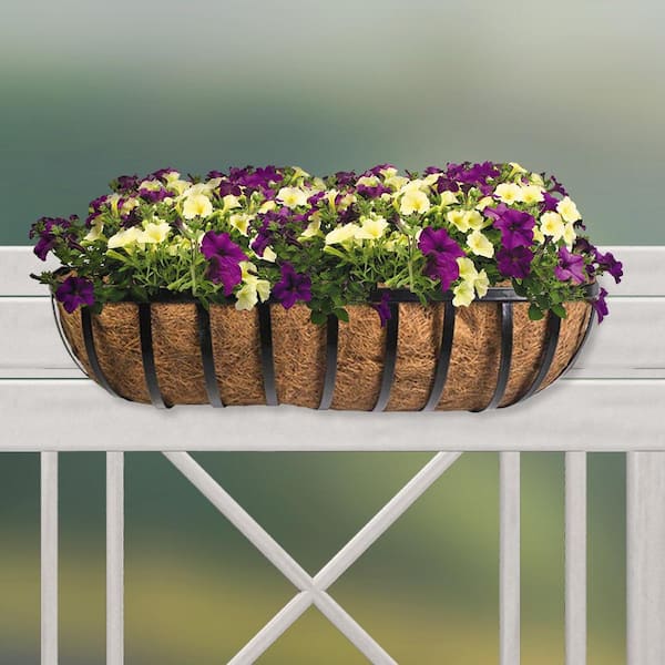 24 in. x 8 in. Molded Coco Replacement Liner