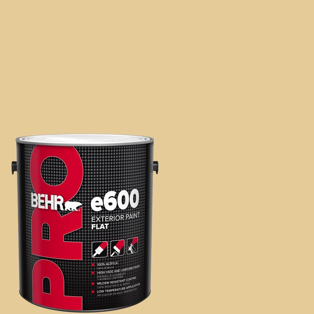 1 gal. #M320-4 Abstract Flat Exterior Paint price history on PriceWatchPro