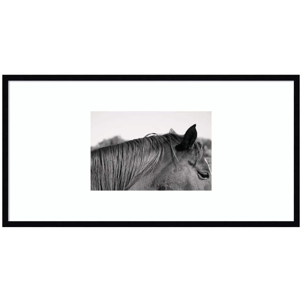"Svelte ""Auburn"" by Alicia Bock Animals Framed Art Print 21 in. x 41 in." price history on PriceWatchPro