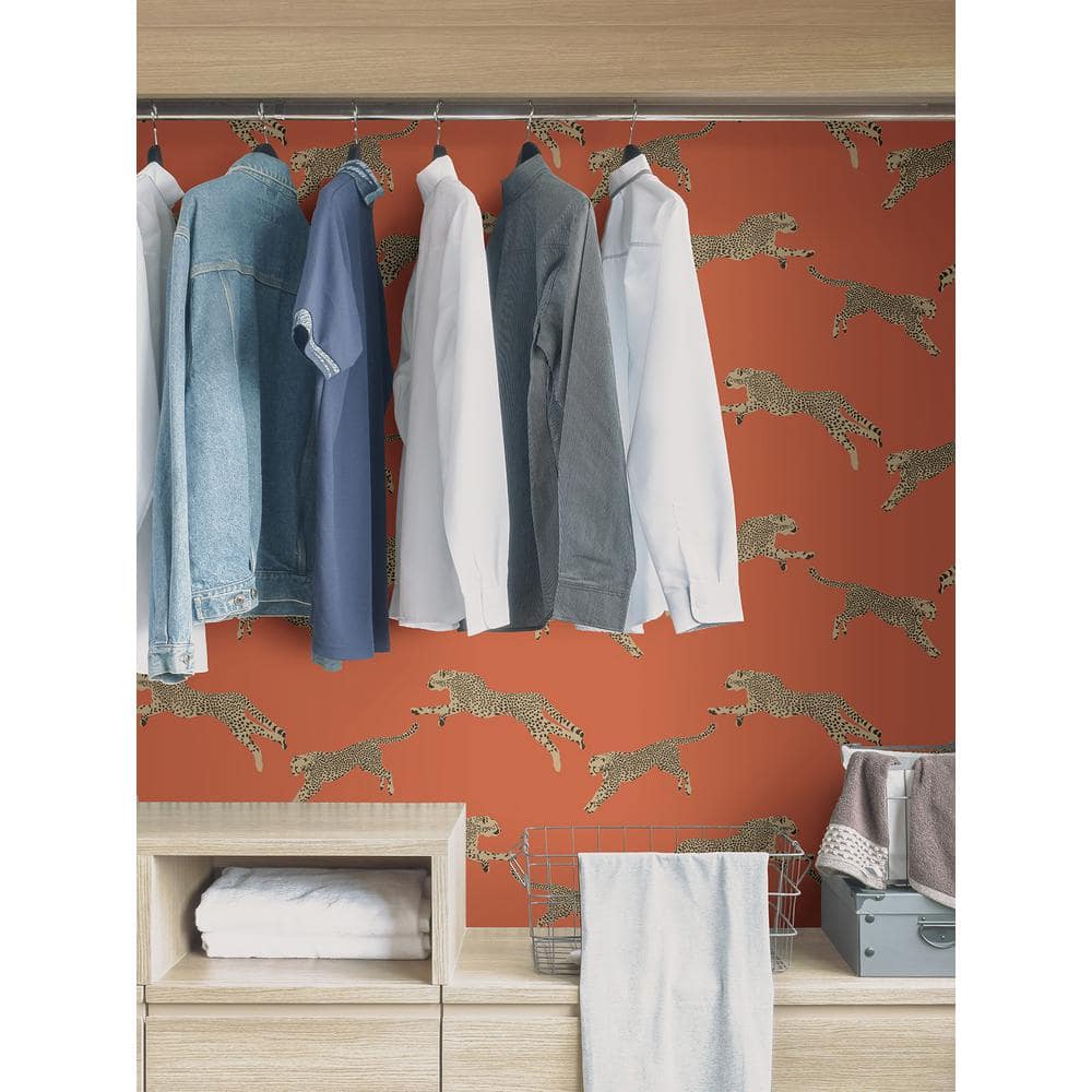 Clementine Orange Cheetah Print Peel & Stick Wallpaper