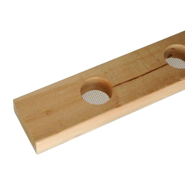 Unbranded 2 in. x 4 in. x 22-7/16 in. Vented Frieze Board