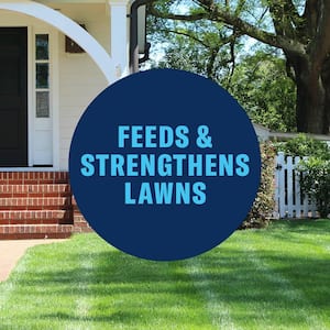 20 lbs. 3-In-1 Weed and Feed for Southern Lawns