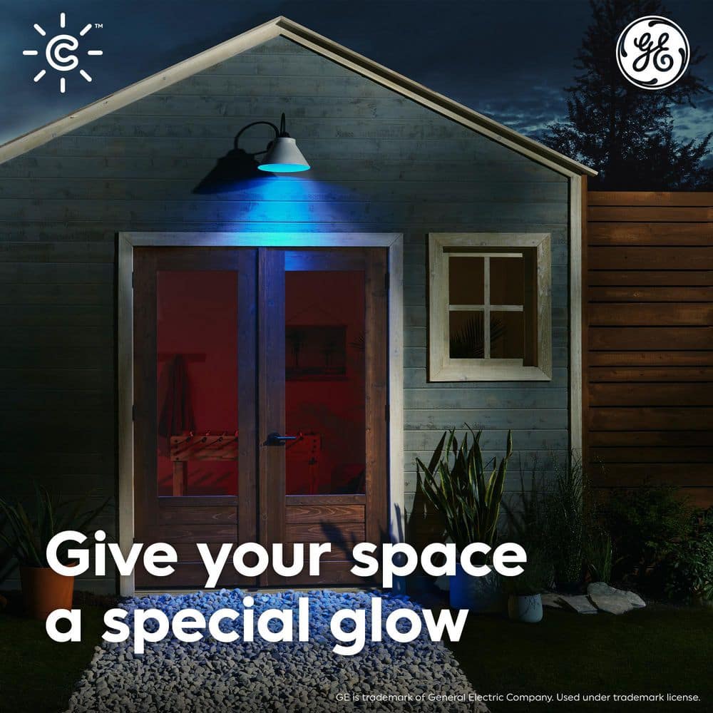 Smart Color Changing Outdoor LED Floodlight Bulb with Voice Control