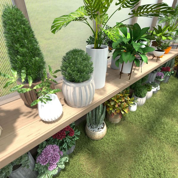 137.4 in. W Fir Wood Rectangular Floating Shelf Greenhouse Accessory for Plants Fits All 12 ft. Deep Greenhouse