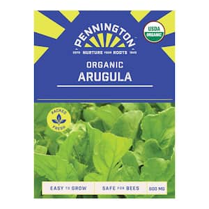 Organic Arugula Vegetable Seed