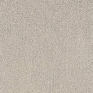 Soft Breath Plus II - Florence - White 50 oz. SD Polyester Texture Installed Carpet
