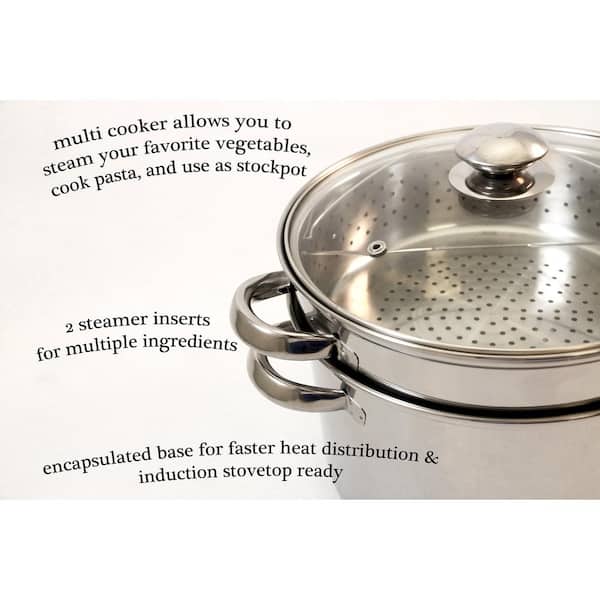 Steamer Pot for Cooking 11 inch, Steam Pots with Lid 2-tier Multipurpose  Stainless Steel Steaming Pot Cookware with Handle for Vegetable