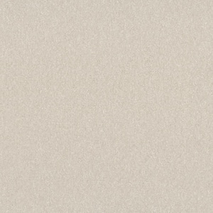 Blakely II - Tusk-Beige 12 ft. 52 oz. High Performance Polyester Texture Installed Carpet