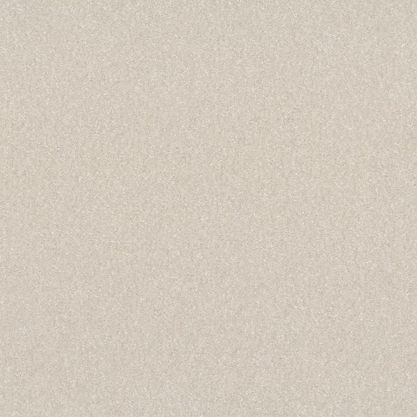 Blakely II - Tusk-Beige 12 ft. 52 oz. High Performance Polyester Texture Installed Carpet