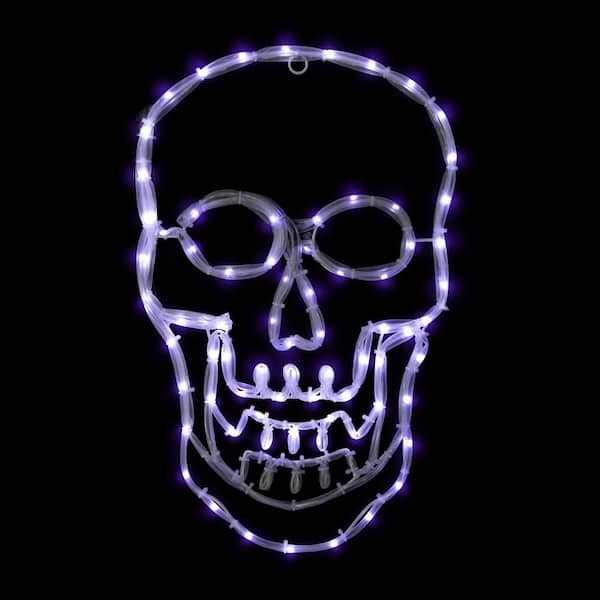 LED 4 Function Skull Halloween Window Silhouette-18 in. White Lights