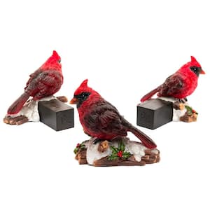 Potty Feet Full Color Red Cardinal Bird (Set of 3)
