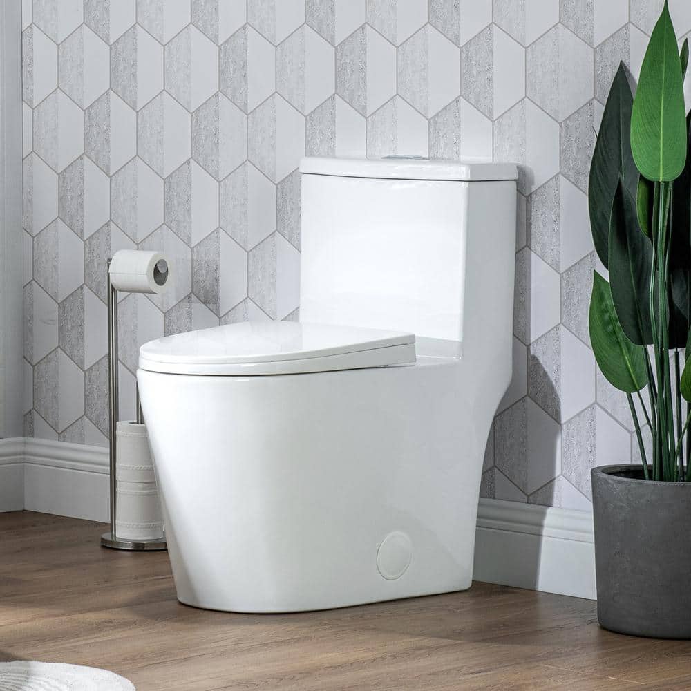 White Ceramic Dual-Flush Elongated One-Piece Toilet with Comfort Seat