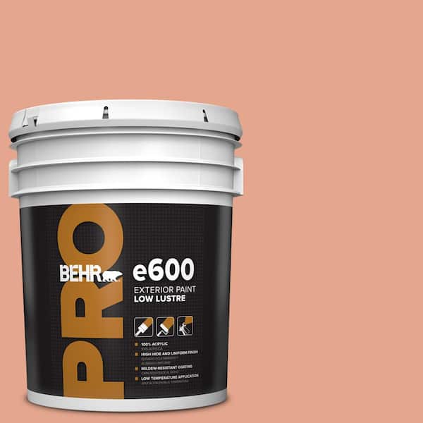 BEHR PRO 5 gal. #M180-4 Priceless Coral Low Luster Exterior Paint