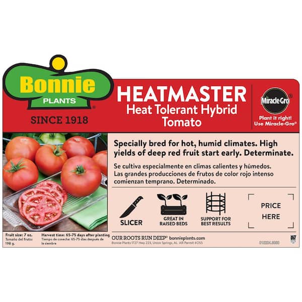 2.32 qt. Heatmaster Tomato Plant