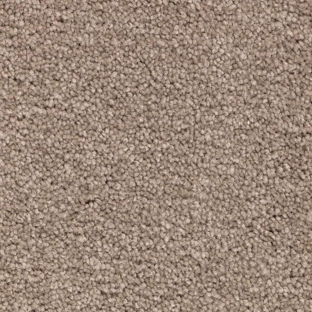 8 in. x 8 in. Texture Carpet Sample - Unblemished I -Color Gentle Doe price history on PriceWatchPro