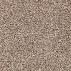 Unblemished II  - Gentle Doe - Brown 55 oz. Triexta Texture Installed Carpet