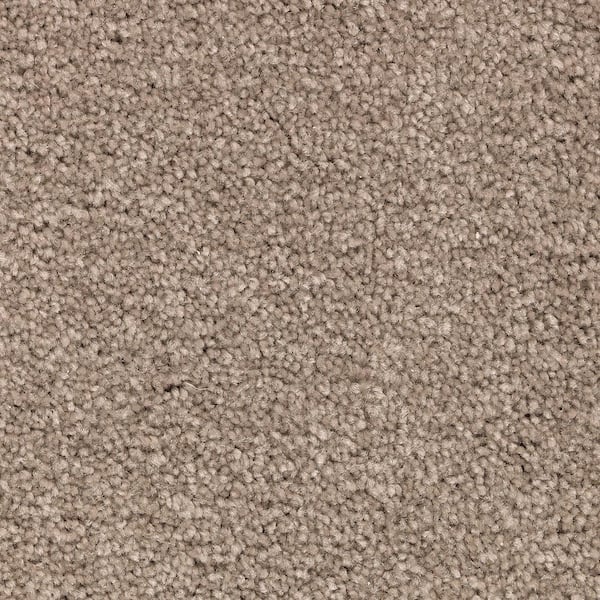Lifeproof Unblemished II  - Gentle Doe - Brown 55 oz. Triexta Texture Installed Carpet