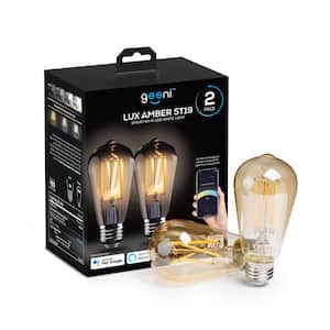 60-Watt Equivalent Amber ST19 Dimmable Smart Edison Wi-Fi LED Light Bulb Tunable White 2700K-6500K (2-Pack)