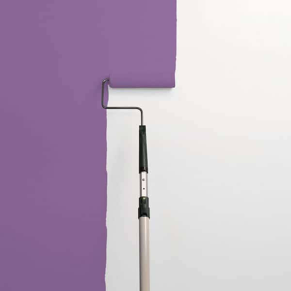 Mirabella PPG1176-6 Paint