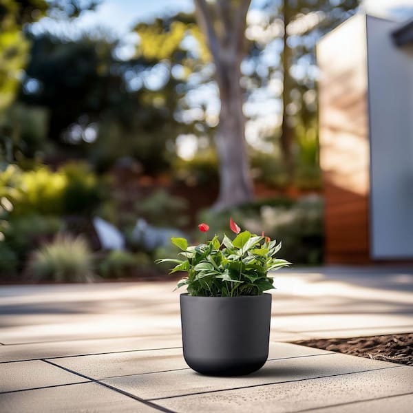 13.5 in. Medium Charcoal Black Concrete Round Planter / Pot with Drainage Holes