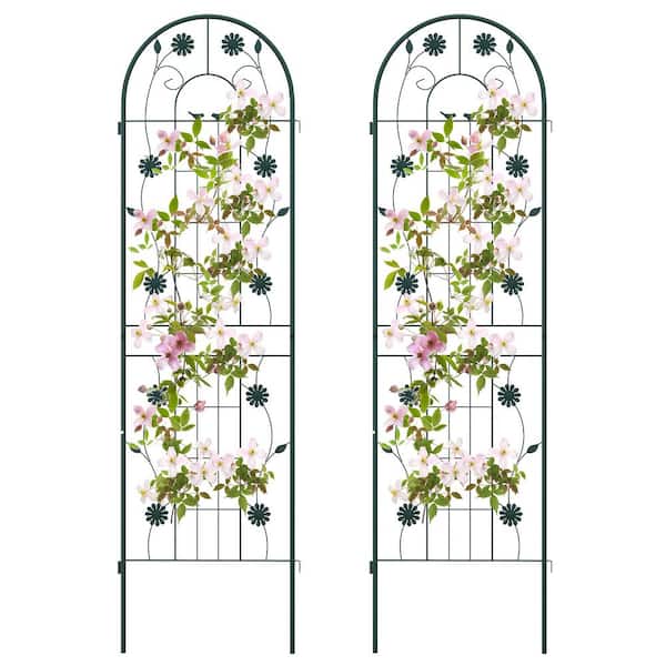 FORCLOVER 71 in. x 20 in. Metal Garden Trellis Rustproof Plant Support for Climbing Plants in Green (2-Pack)