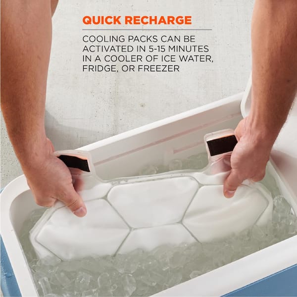 Cooling Pack Freezer Container - Cooling Accessories