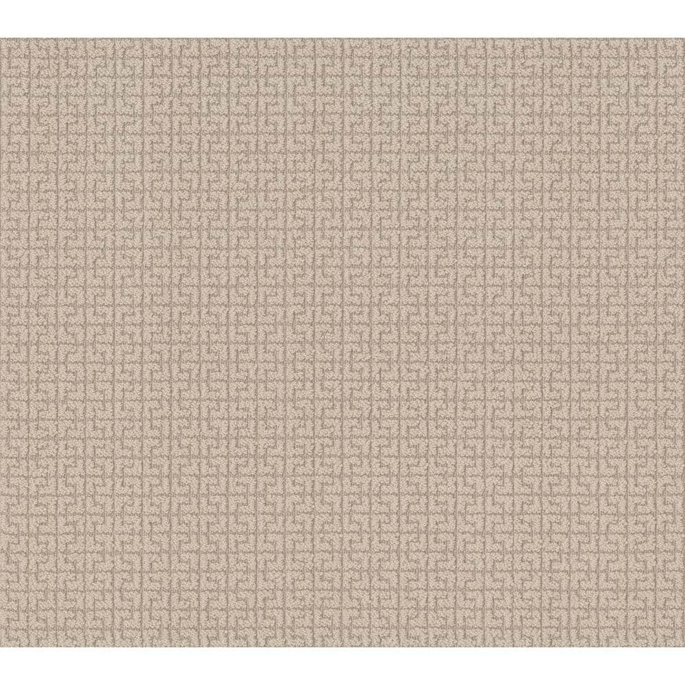 8 in. x 8 in.  Pattern Carpet Sample - Claymore - Color Urban Loft price history on PriceWatchPro