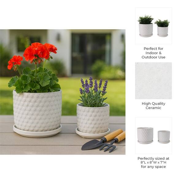 Liv & Skye 6 in. and 8 in. White Ceramic Bubble Saucer Decorative