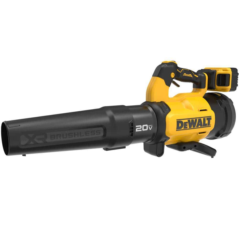 20V XR Lithium-Ion 550 CFM 125 MPH Cordless Blower Kit with 8 Ah Battery and Charger price history on PriceWatchPro