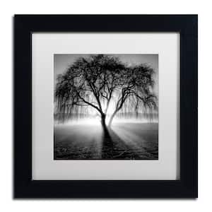 Lightning Tree I by Moises Levy Nature Art Print 13 in. x 13 in.