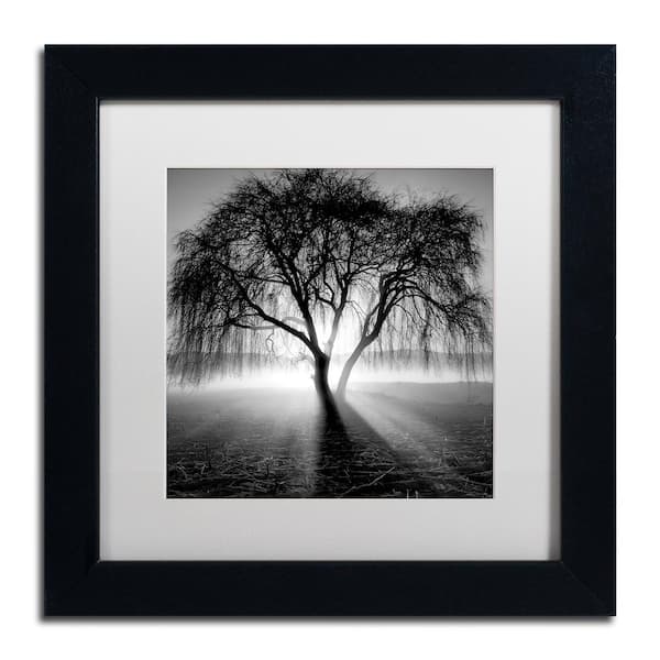 Trademark Fine Art Lightning Tree I by Moises Levy Nature Art Print 13 in. x 13 in.